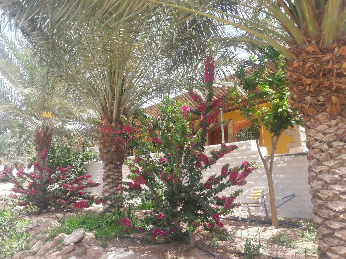 Darna Divers Village Aqaba Exterior photo